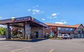 Comfort Inn